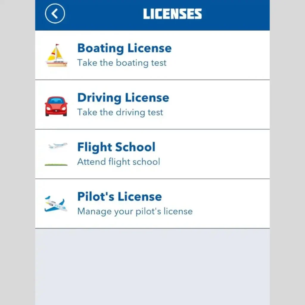 Pilot's License